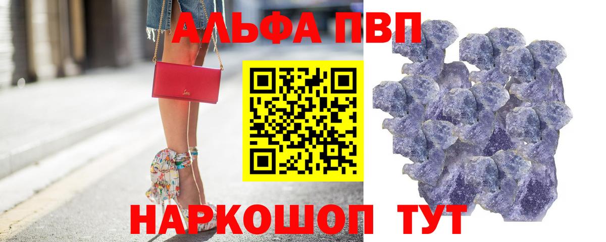 Альфа ПВП СК Североморск
