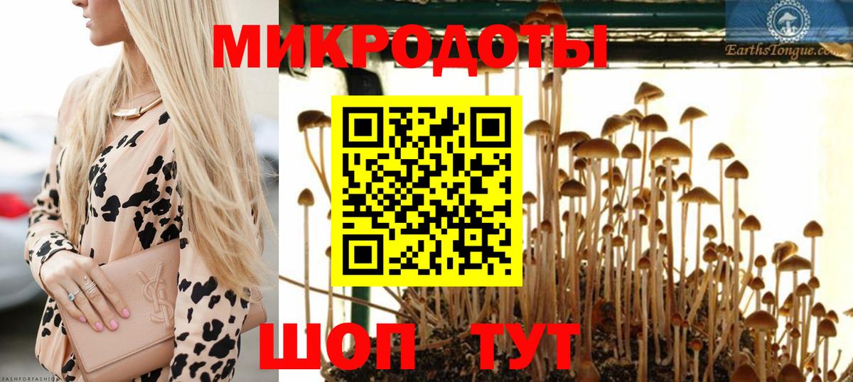 Галлюциногенные грибы Psilocybine cubensis  Вход с VPN  Псилоцибиновые грибы GOLDEN TEACHER  Североморск 