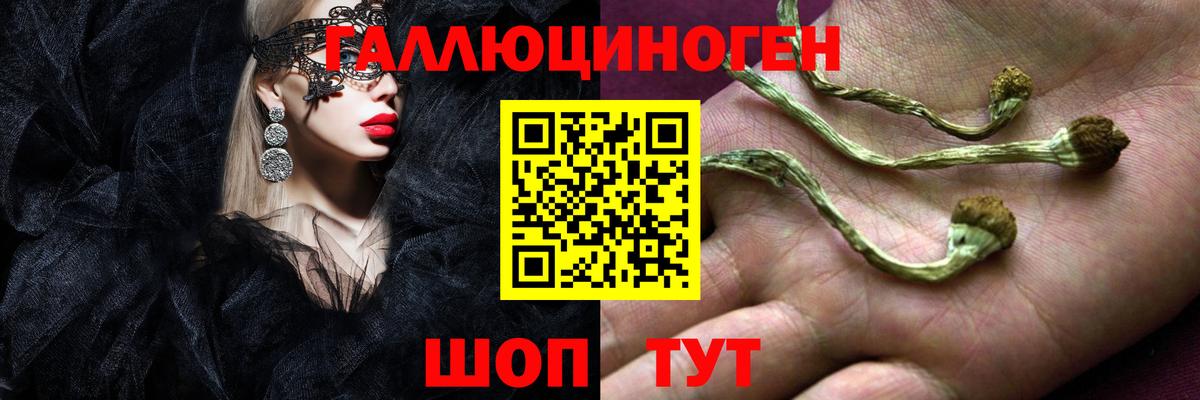 Галлюциногенные грибы Североморск